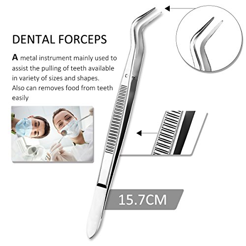 6 Pcs Dental Tools Kit, Dentist Picks Plaque Remover Scraper Set Best