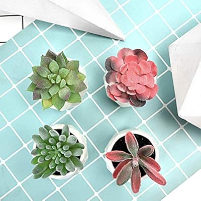 Artificial Succulent Plants Decor,4 Pieces of Various Fake Succulents in Mini White Ceramic Pots for Desk, Office… 51Oxa0kR59L