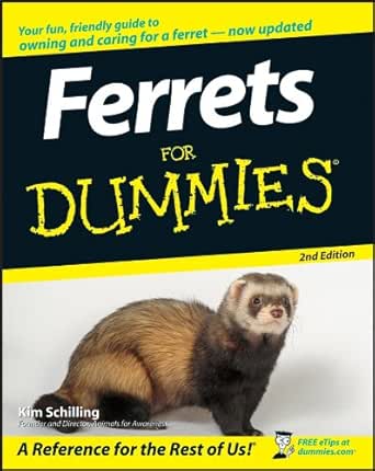 buying a ferret