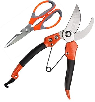 AAHNA E MALL Stainless Steel Garden Scissor and Flower, Leaf Cutter Combo with Safety Lock Set of 2 Pcs (Multicolored)