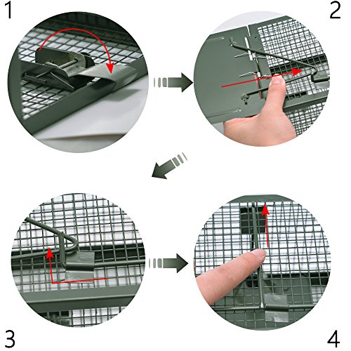 MATATA Live Animal Humane Trap 2-Door Mouse Cage Trap For Chipmunk, Rats, Squirrels, Voles, Rodent and Similar Size Pests(Green)