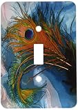 3dRose LLC lsp_60467_1 Abstract Peacock Feather Ii Single Toggle Switch