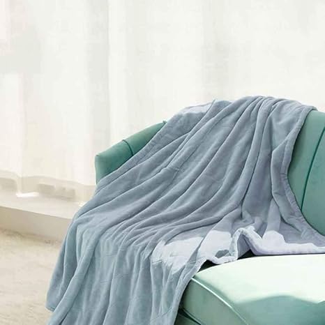 Amazon Co Jp リモコン付き電気毛布 タイミング カロリー設定 オフィス仮眠カバー脚加熱毛布 ホーム キッチン