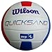 Wilson AVP Quicksand Volleyball