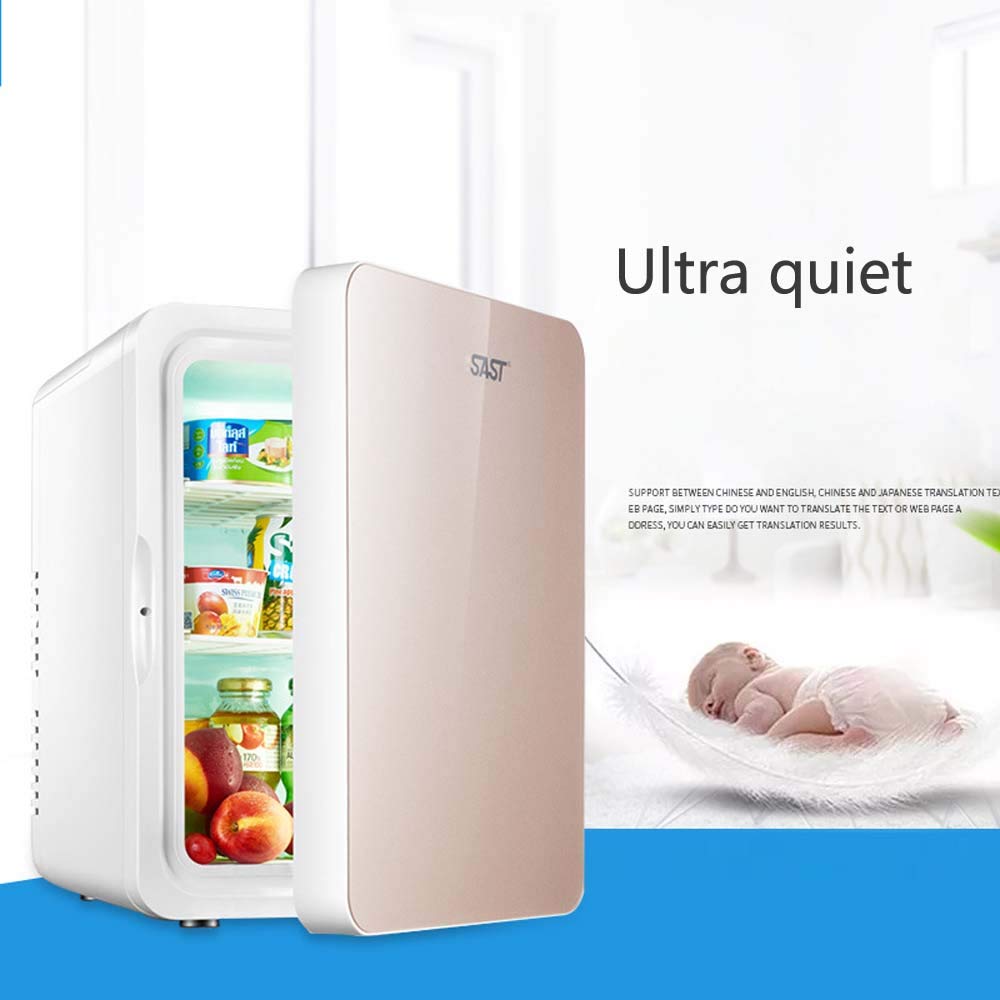 HNFYJQ Mini Nevera eléctrica Cool Box 12V 240V para el automóvil y ...