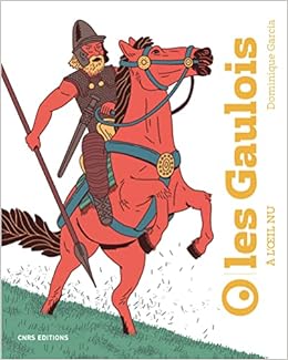 Les Gaulois A L Oeil Nu Garcia Dominique Perrodeau Jeremy Amazon Com Books
