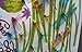 Amaonm 20pcs 3D Colorful Dragonfly Vividly Stickers Making Stickers DIY Ornament Party Kidgarden Wall Stickers Wall Decal Man-Made vividly Dragonfly Art Decor Decals