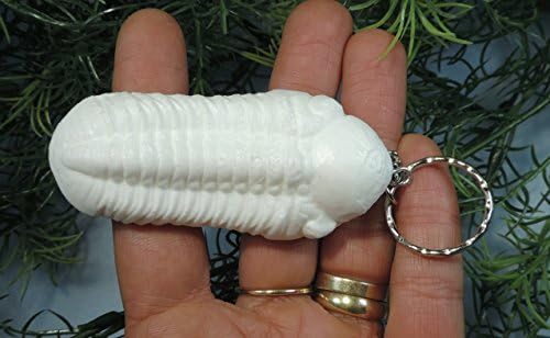 Trilobite Bug Replica Keychain
