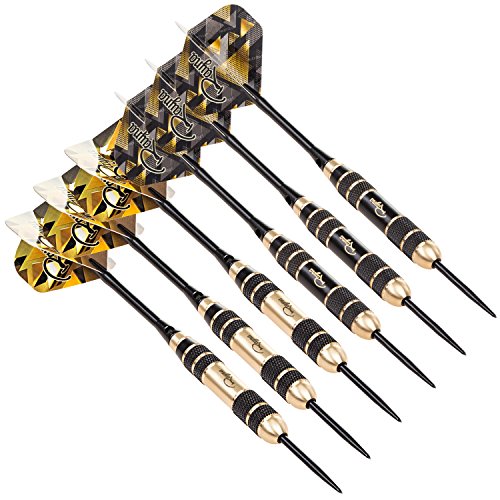 Rayna Games Professional Darts Set - Steel Tip Darts with Aluminum Shafts and Different Style Flights + Dart Sharpener + Premium Dart Case