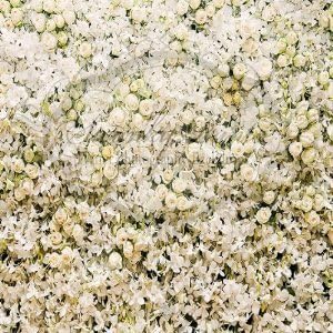 Swanky Prints I8-J2IO-9KWO 4' x 4' White Cream Floral Wall Vinyl Photography Backdrop
