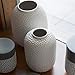 Hosley Lichen Vase 7.5 Inch High Ivory. Ideal Gift for Wedding Floral Vase Party Home Decor Office Spa O9