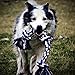 4LegsFriend Rope Toys for Large Dogs & Puppies 4-Pack – Natural Cotton Rubber Tug-of-War Toy Set – Tough Dog Toys for Aggressive Chewers Improve Dental Hygiene – Machine-Washable Dog Rope Toy Ropes