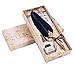 Lingery Quill Pen Set with Stand and 5pcs Stainless Steel Nibs in Different Size,Feather Dip Pen Gift Set