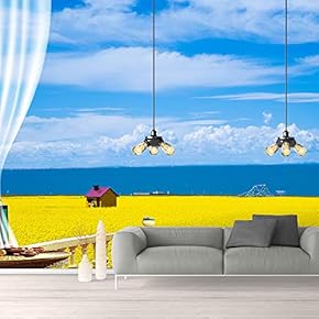 Wall Murals for Bedroom Great View from Balcony Removable Wallpaper Peel and Stick Wall Stickers - 66x96 inches