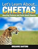 Cheetahs  (Let's Learn About)