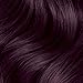 Vidal Sassoon Salonist Permanent Hair Dye, 3/66 2 Darkest Intense Violet Hair Color, Pack of 1