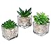 Small Glass Cube Artificial Plant Modern Home Decor/Faux Succulent Planter Pots, Set of 3 (Assortment 1)