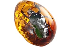 BETENSH Amber Fossils and Insect Samples Stone Family Decoration Crystal Specimen Pendant for Collection,Science Education (2)