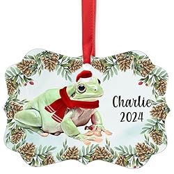 Dumpy Tree Frog Christmas Ornament 2024