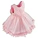 FEESHOW Baby Girls Bowknot Lace Flower Dress Wedding Baptism Christening Gown Pageant Birthday Tutu Dress Pink 3-6 Months
