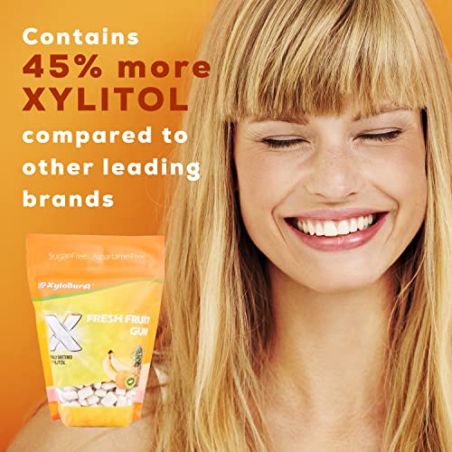 XyloBurst 100 Xylitol Gum, Fruit Gum, 500 Count Jar, Natural Chewing