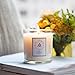 Le Conte Scented Candles - Monoi Vanilla Taha'a - The World’s First Visual Candle - Soy Wax 8oz. 50+ Burn time