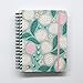 Posh: Organized Living 17-Month 2019-2020 Monthly/Weekly Planner Calendar: Dragonfruity