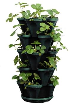 Pots Planters Container Accessories Flower Vegetable Planter Vertical Gardening Indoor Outdoor Stacking Garden Pots Stacky 1305 Hg 5 Tier Stackable Strawberry Mr Herb Vertical Wall Planters