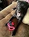 BINGPET Tough Chew Durable Dog Rope Toy Pet Cute Activity Toys Tug Ball for Small or Large Breed Chewers
