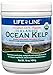 Life Line USDA Certified Organic Ocean Kelp for Pets & Livestock | Supports Skin & Coat Health, Immune Function, and Dental Hygiene | Promotes Metabolism & Reduces Plaque and Shedding – 16 oz