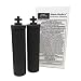 Berkey Black Berkey Purification Elements, Pack of 2