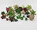 Lopkey 10 Pcs-Plastic Different Mini Succulents, Artificial Cactus Plant