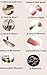 Makartt 120PCs/Case Poly Nail Extension Gel Dual Forms Nail Builder Extension Gel Nail Mold Clear Full Cover False Nail Tips Hybrid Gel Dual Forms Acrylic Nail Forms with Scale A-10