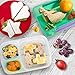 Sandwich Cutters for Kids | Funbite Food Cutter for Kids | Exciting and Innovative | Kids Friendly | 26 pieces set | Variant Sandwich Cutters | Vegetable and Cheese Stamps | Animal Shaped Food Picks |