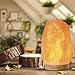 Levoit Large Salt Lamp, Himalayan / Hymilain Sea Pink Crystal Large Salt Rock Lamps, Night Light, Real Rubber Wood Base, Dimmable Touch Switch, Luxury Gift Box(ETL Certified, 2 Extra Original Bulbs)