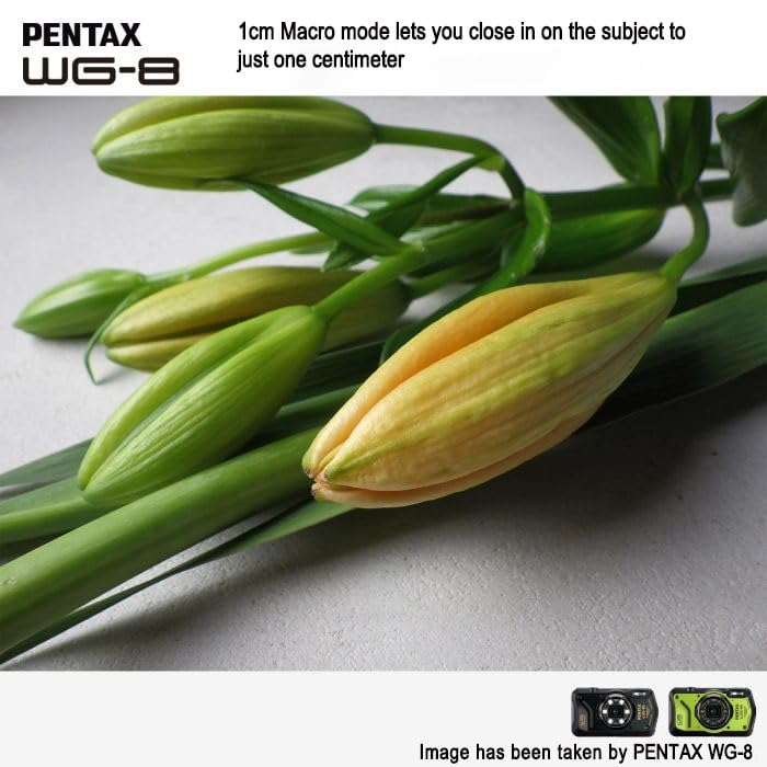 PENTAX WG-8 Black All-Weather Adventure Camera, Featuring Outstanding Waterproof, dustproof, Shock-Resistant Performance, Multi-Application Ring Light for Macro Photography and Webcam Function
