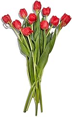 FLORAL Tulips 10 Stem, 1 EA