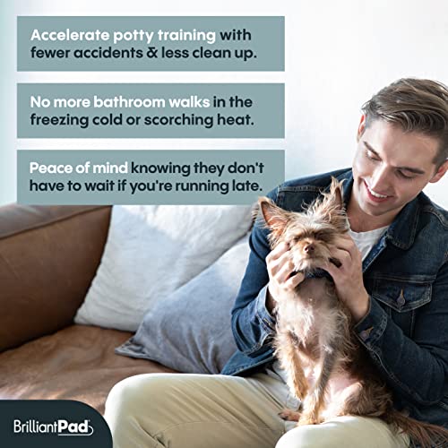 pet time grand dog toilet