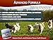 Hanzi Pets All New Formula Hip & Joint Care for Dogs Cats | Improves Mobility & Hip Dysplasia | Glucosamine, MSM, Chondroitin, Turmeric, Hemp | cGMP Certified | Made in USA | 120 Savory Soft Chews