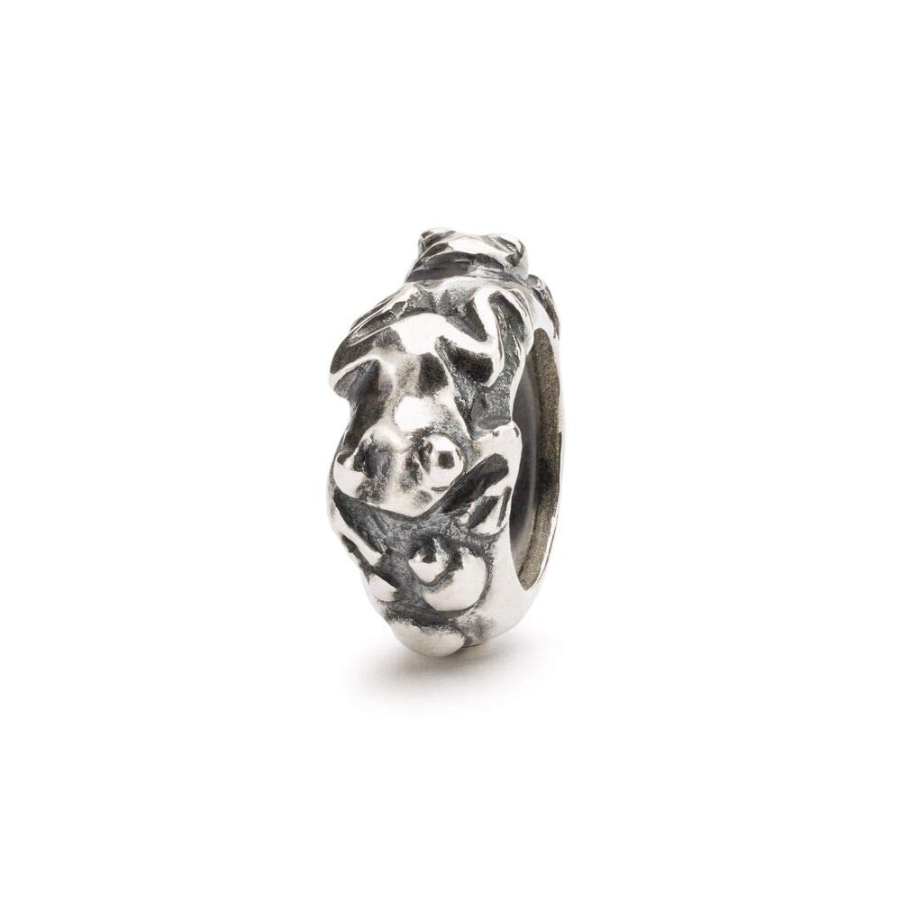 Trollbeads Silver 925 Bead Evolution Spacer