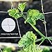 BohoFarm Plant Trellis Netting 5x30ft 2-Pack Trellis Net Heavy-Duty Polyester Plant Support Vine Climbing Hydroponics with/Garden Twine