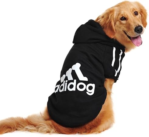 dog hoodie sweater