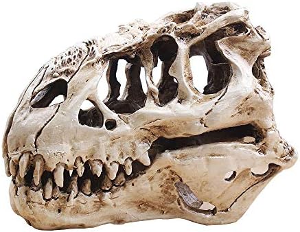 Goodjobb Lifelike Dinosaur Tyrannosaur Skull Fish Tank Skeleton Aquarium Decorations Unique