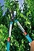 Gardena 394 Comfort Telescopic Hedge Shears With 9-3/4-Inch Non-Stick Blades