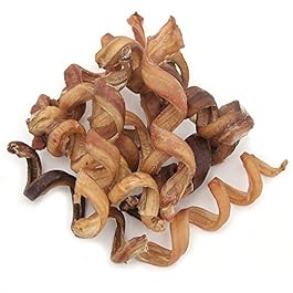 Gigabite Odor-Free Spiral Bully Sticks – USDA & FDA Certified, All Natural Free Range Beef Pizzle, Curly Bully Spring Dog Treat