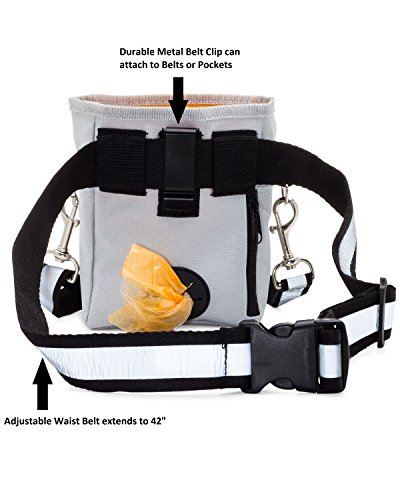 image for FitPup Dog Treat Training Pouch Bag, Carry Treats Toys, Poop Bag Dispe