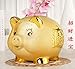 Mose Cafolo Gold Piggy Bank ~ We Wish You Wealth and Success Saving Box Piggy Bank Coin Bank for Home Decor, Holiday and Birthday Gift