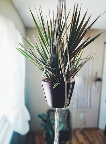 Cotton Plant Hanger, Hanging Planter, Macrame Plant Holder