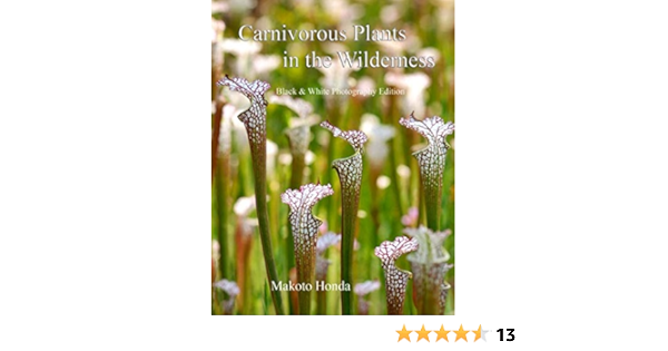 Carnivorous Plants In The Wilderness Black White Photo Edition Honda Makoto 9781511825979 Amazon Com Books