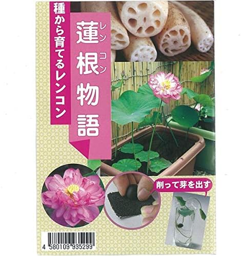 Amazon 株 赤塚植物園 タネから育てるレンコン 蓮根物語 花を楽しんで レンコンも収穫できます 野菜